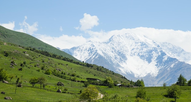 Panorama di bella campagna pomeriggio soleggiato meraviglioso paesaggio primaverile in montagna