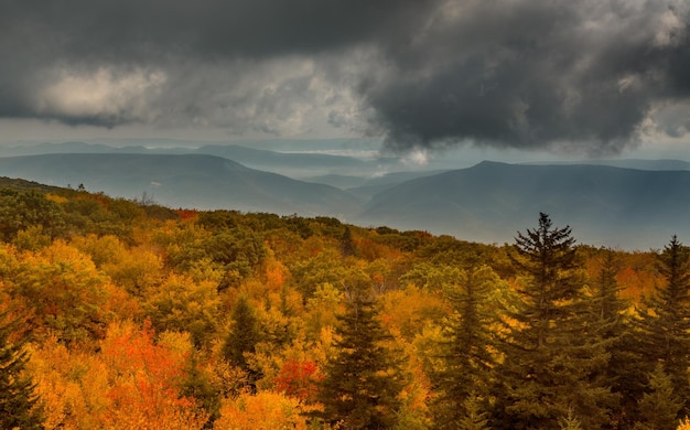 Panorama di colline tempestose da Dolly Sods