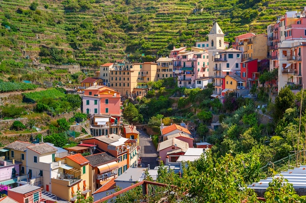 Panorama di Manarola, Cinque Terre, Liguria, Italia