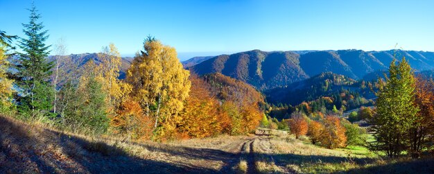 Panorama di montagna autunnale soleggiato con alberi colorati e strada di campagna sul fianco di una montagna.