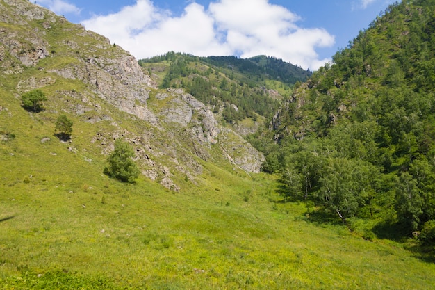 Panorama di montagne Altai