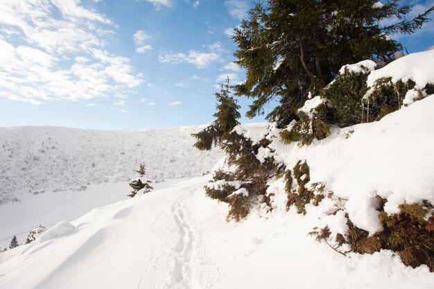 Panorama di montagne innevate, neve e nuvole all'orizzonte