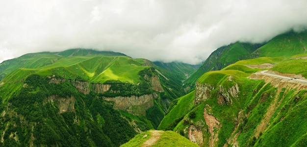 Panorama di montagne verdi