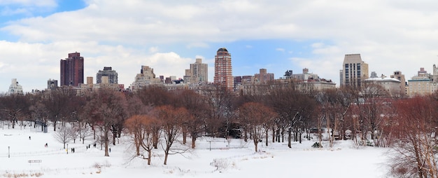 Panorama di New York City Manhattan Central Park in inverno