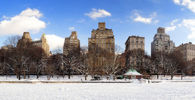 Panorama di New York City Manhattan Central Park in inverno