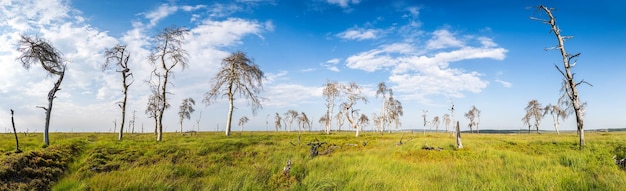 Panorama di noir Flohay Hautes Fagnes