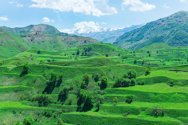 Panorama di valli montane con verdi terrazze agricole sui pendii e cime innevate in lontananza