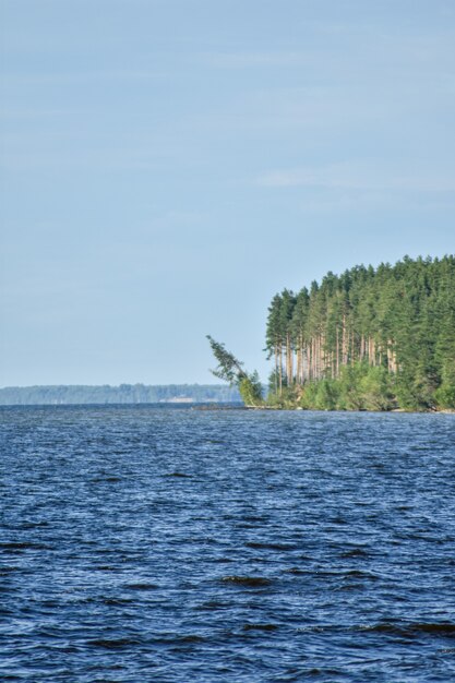 panorama estivo del fiume Volga