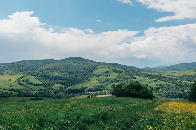 Panorama estivo delle montagne dei Carpazi