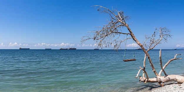 Panorama estivo, vista mare, altalena su un albero caduto e navi da carico