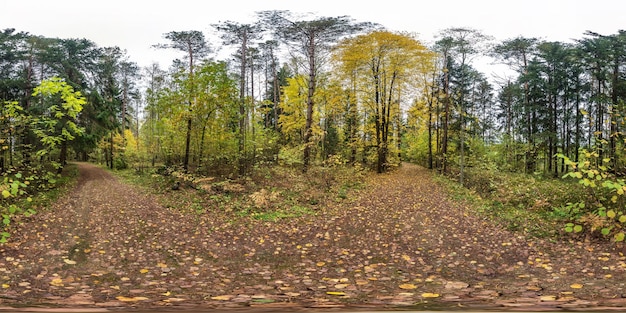 Panorama hdri sferico completo e senza soluzione di continuità Vista angolare a 360 gradi su strada pedonale nella foresta autunnale in contenuto di proiezione equirettangolare pronto per contenuto di realtà virtuale AR VR