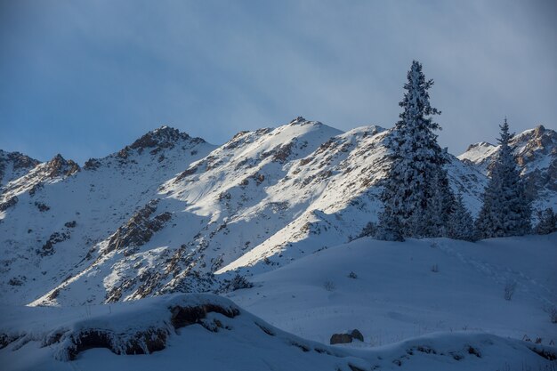 Panorama invernale con baita sulla neve