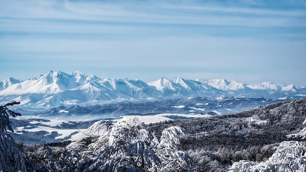 Panorama pittoresco degli Alti Tatra in Slovacchia Vista dalla cima del monte Jaworzyna Krynicka in Polonia