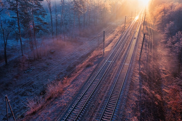 Panorami impressionanti durante un viaggio in treno attraverso la foresta autunnale