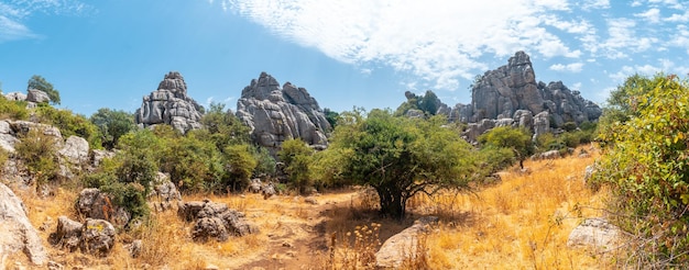 Panoramica di pietre con belle forme nel Torcal de Antequera sul sentiero verde Malaga Spagna