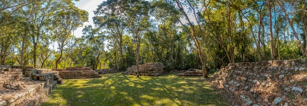 Panoramica nei templi sotto gli alberi nelle rovine di Copan