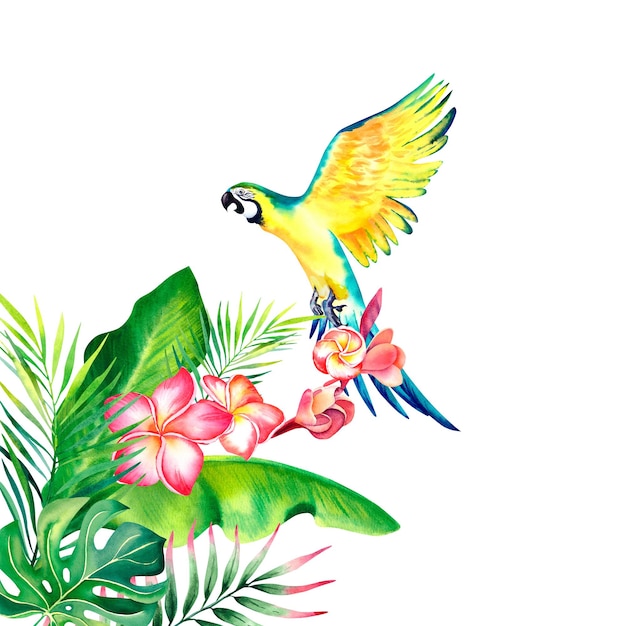 Pappagallo Macaw nella giungla tropicale Monstera Palm ramo Plumeria Composizione tropicale acquerello illustrazione su uno sfondo isolato