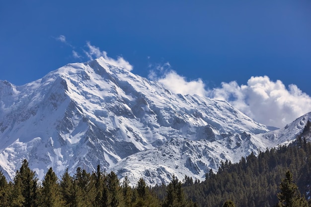 paradiso in terraMontagna Nanga Parbat 8126 metri da Fairy MeadowsGilgitBaltistan Pakistan