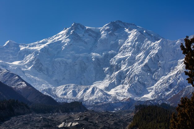 paradiso in terraNanga Parbat da Fairy MeadowsGilgitBaltistan Pakistan