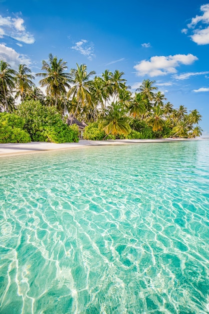 Paradiso sulla spiaggia dell'hotel resort tropicale Incredibile costa della natura Avventura di viaggio per le vacanze estive