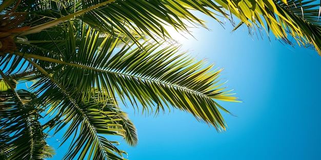 Paradiso tropicale vista verso l'alto delle foglie di palma contro l'atmosfera delle vacanze estive del cielo limpido perfetta per temi di viaggio e natura AI