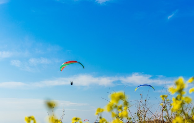 parapendio rinizia a volare in parapendio dal pendio contro il cielo blu con un'ala colorata