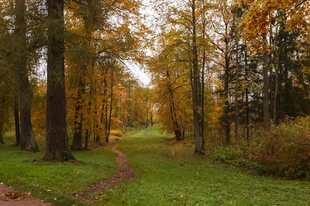 Parcheggia all'inizio dell'autunno con foglie colorate