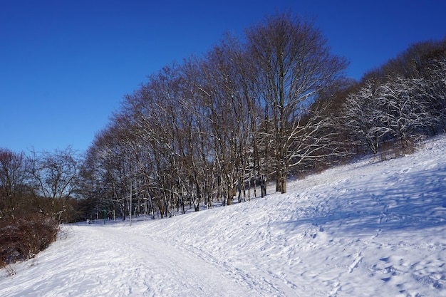 Parcheggia in inverno durante il giorno