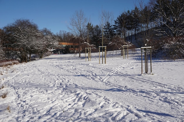 Parcheggia in inverno durante il giorno