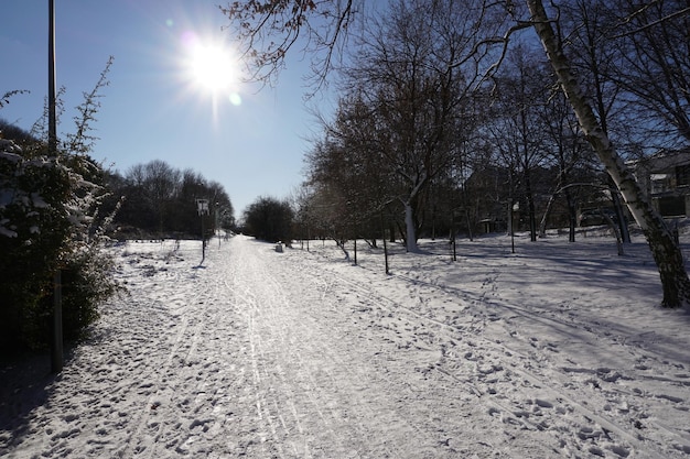 Parcheggia in inverno durante il giorno