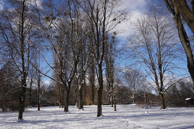 Parcheggia in inverno durante il giorno