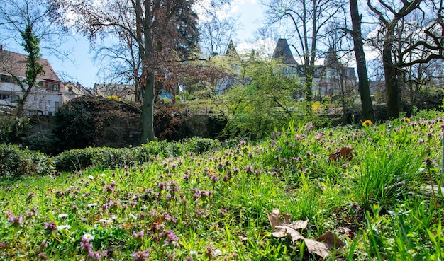 Parcheggiare vicino al castello in primavera