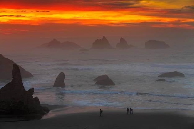 Parchi statali di Bandon Beach Oregon USA