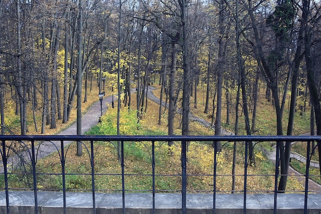 parco autunnale nel paesaggio di sfondo della città, vista astratta autunnale