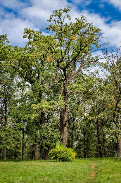 Parco botanico con una varietà di alberi diversi