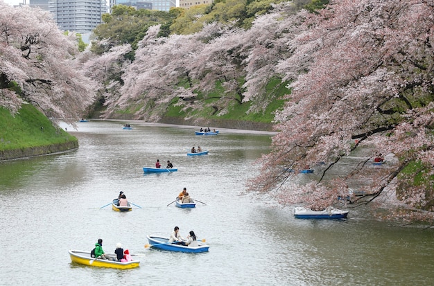 Parco Chidorigafuchi a Tokyo.