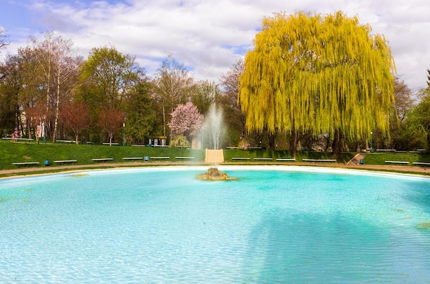 Parco cittadino ben curato con piscina, fontana e alberi nella città di Kamyanets-Podolskiy, Ucraina.