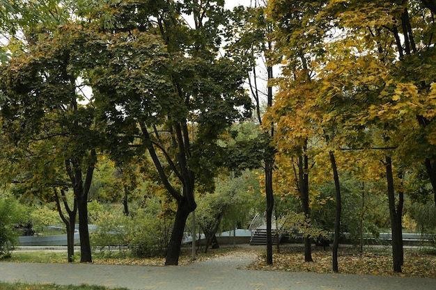 Parco cittadino con percorsi in giornata autunnale