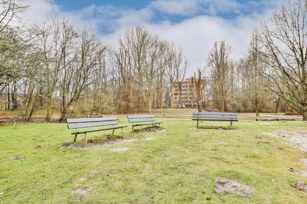 Parco cittadino con sfondo di edificio moderno