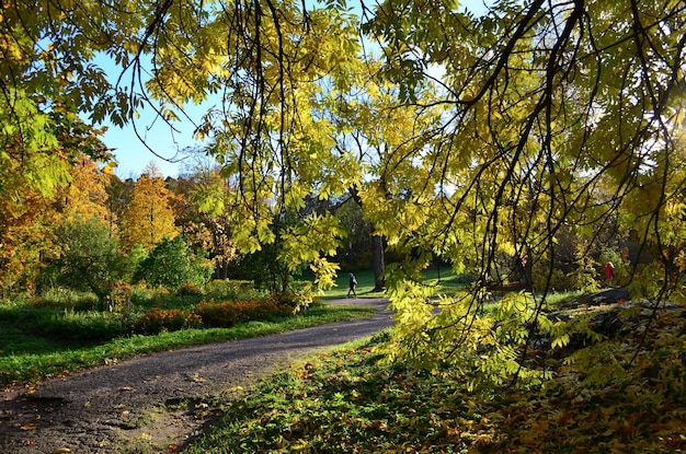 Parco cittadino in autunno, paesaggio, giornata di sole.