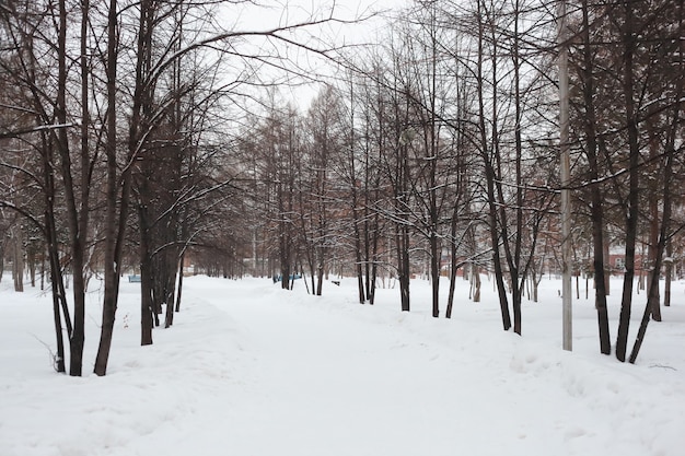 Parco cittadino in inverno