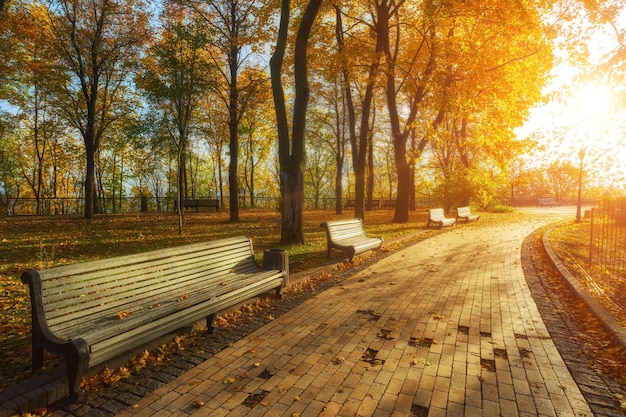 Parco con panchina sul vicolo in autunno