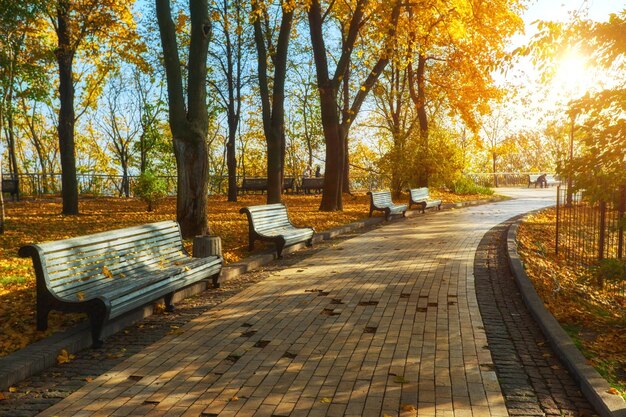 Parco con panchina sul vicolo in autunno