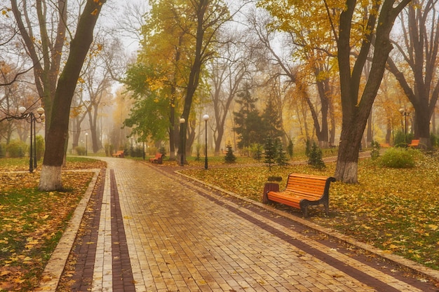 Parco con panchina sul vicolo in autunno