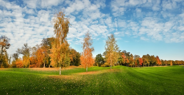 Parco d'autunno, alberi con fogliame colorato