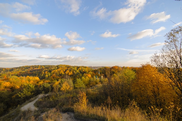 Parco d'autunno con cielo blu