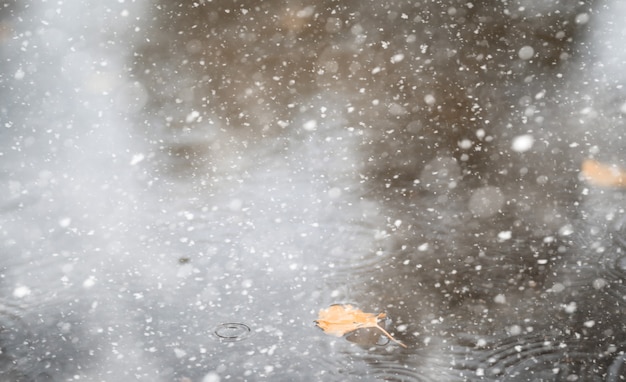 Parco d'autunno nei giorni della prima neve