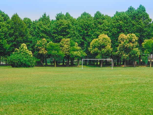 Parco Dalla Chiesa a Collegno