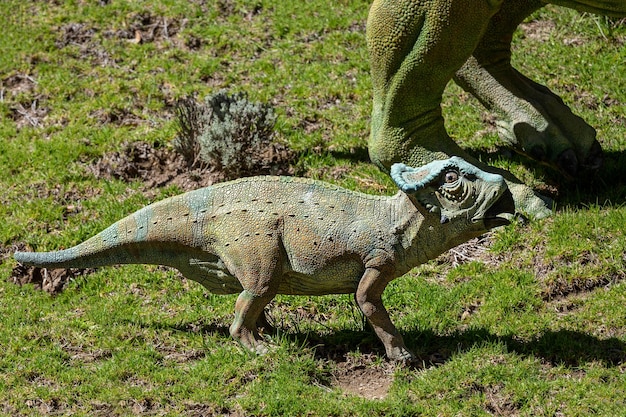 Parco dei dinosauri Cala Orko a Sucre, Bolivia