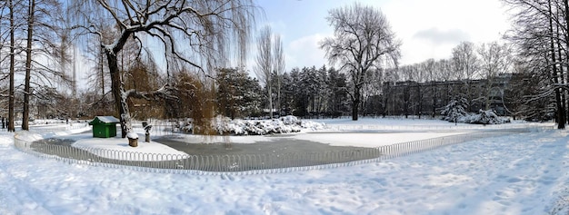 Parco del Danubio in inverno Novi Sad Serbia